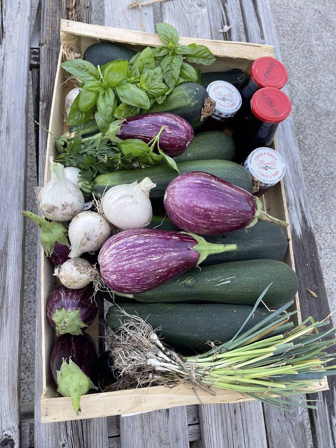 Courgettes, aubergines et aromates du potager