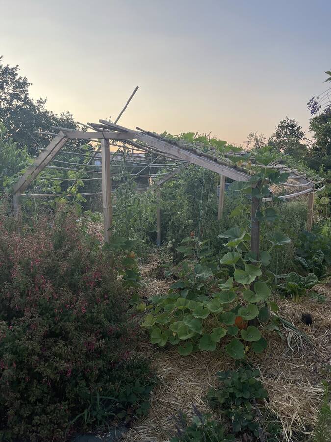 La serre et les cultures au coucher du soleil